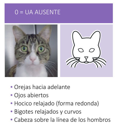 Orejas