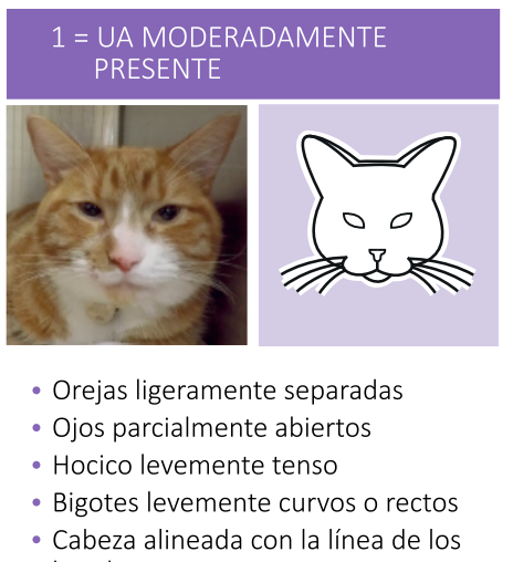Ojos