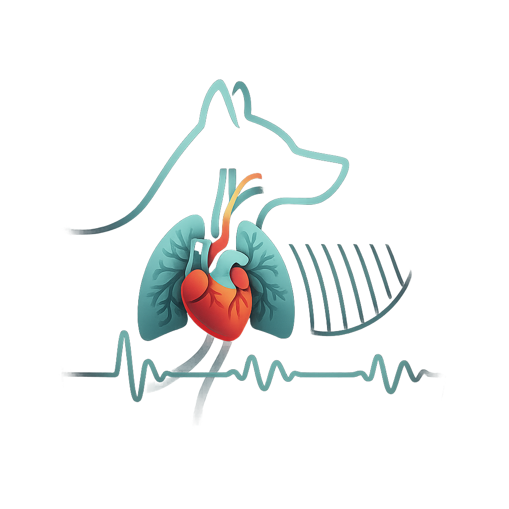 Evaluación de hipertensión pulmonar en perros (calculadora basada en consenso ACVIM 2020 (Reinero et al.))