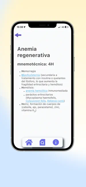Imagen 8